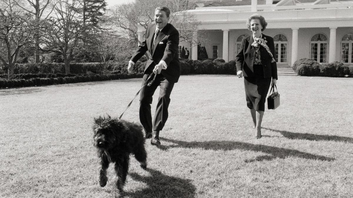 Všichni prezidentovi mazlíci. Fotky ukazují zvířecí nájemníky Bílého domu